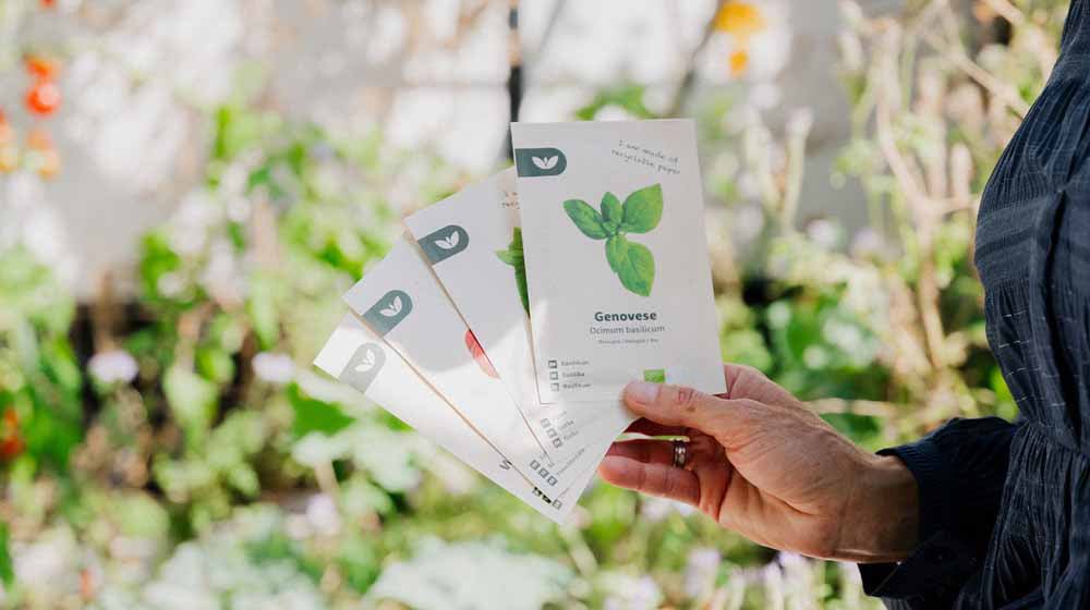 Kruidenzaden - Blomea.be