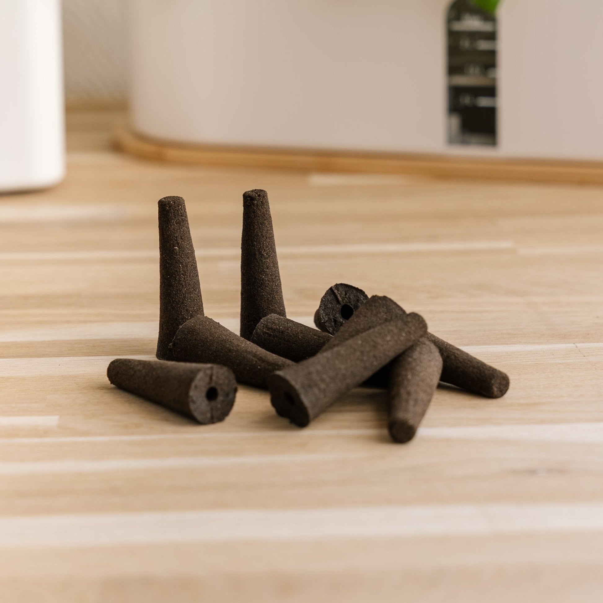 10x Plantenpaddenstoelen voor binnenkeukentuinen