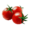 Cherrytomaten zaden