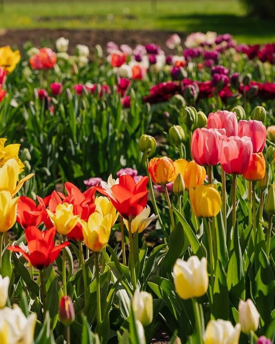 slider image slider_item_j6HeEe