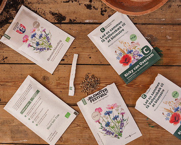 slider image slider_item_WjjAzU