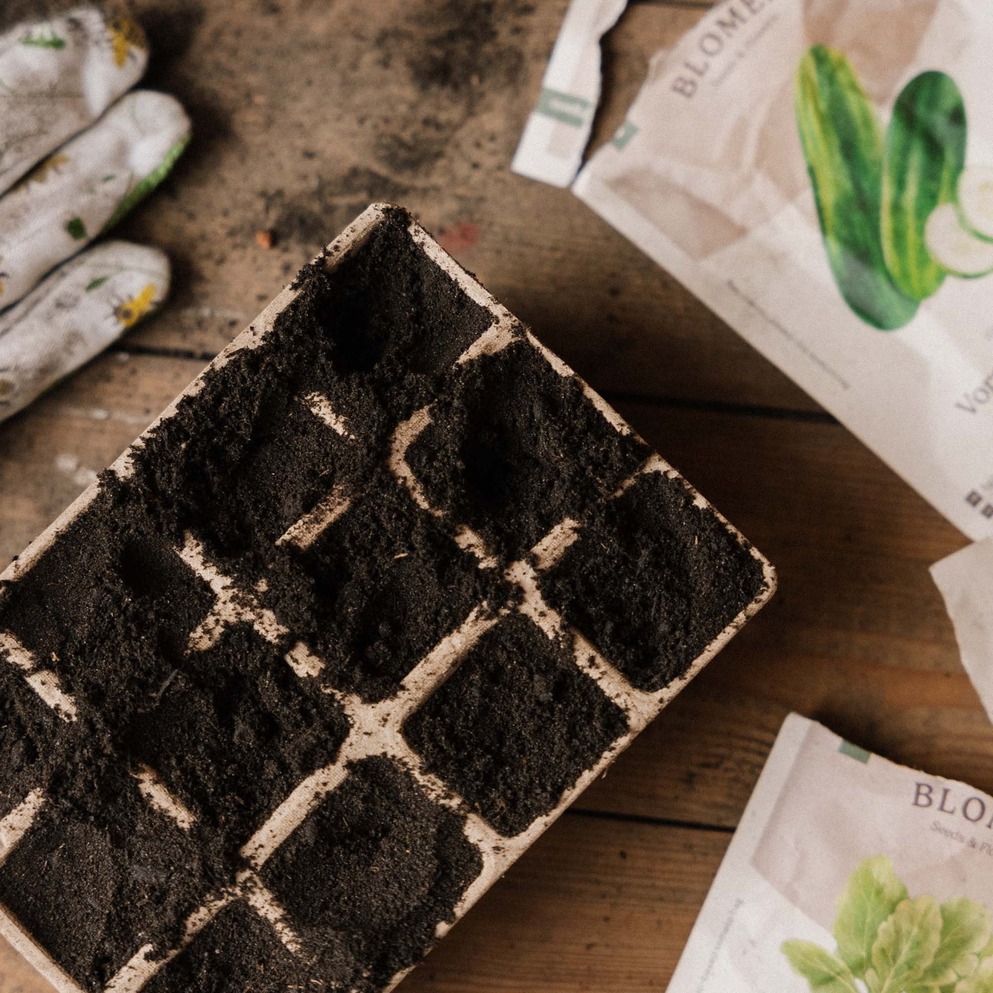 Biologisch afbreekbare zaaibakjes, klein, 3 stuks