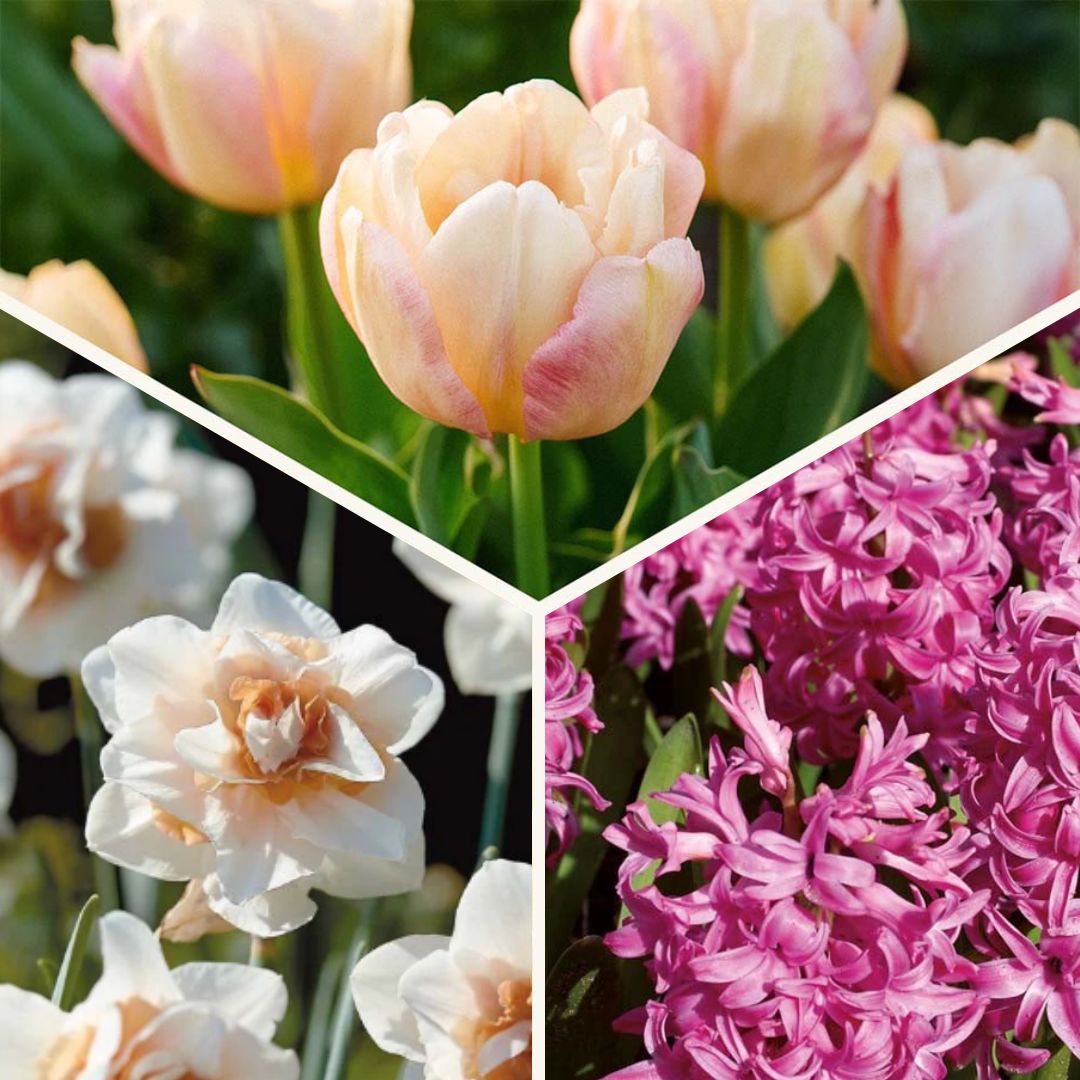 Bloembollenlasagne 'Golden hour'