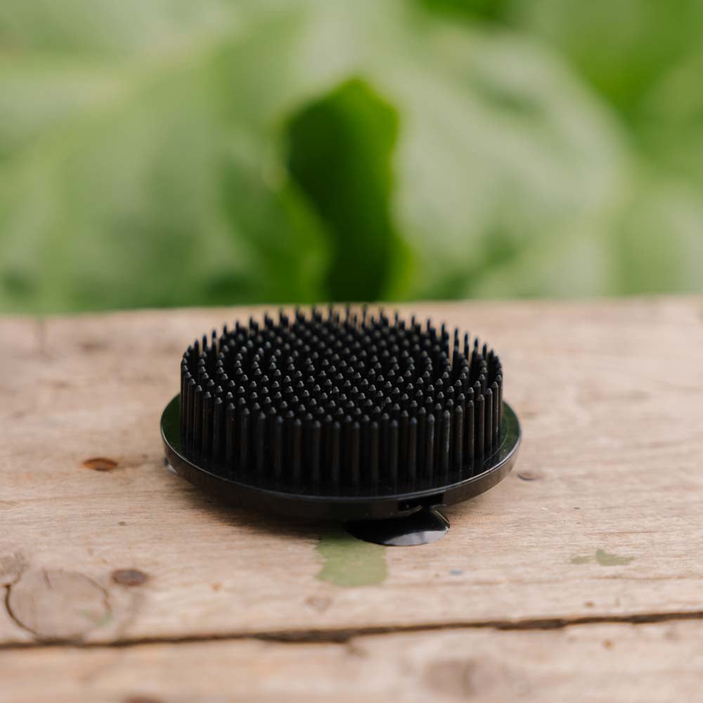 Bloemenhouder, zwart (plastic), Ø: 6,9 cm