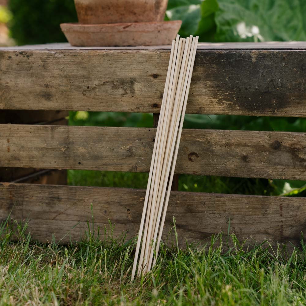 Bloemenstokken. H40 cm 10 st./bundel.