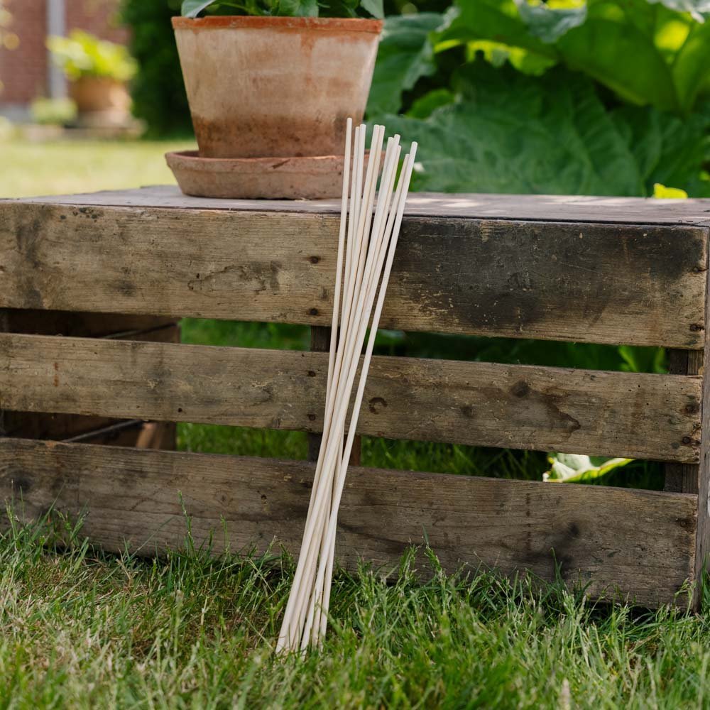 Bloemenstokken. H50 cm 10 st./bundel.