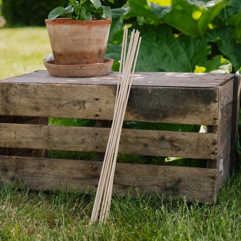 Bloemenstokken. H60 cm 10 st./bundel.