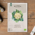 Bloemkoolzaden 'Odysseus' - 40 biologische zaden