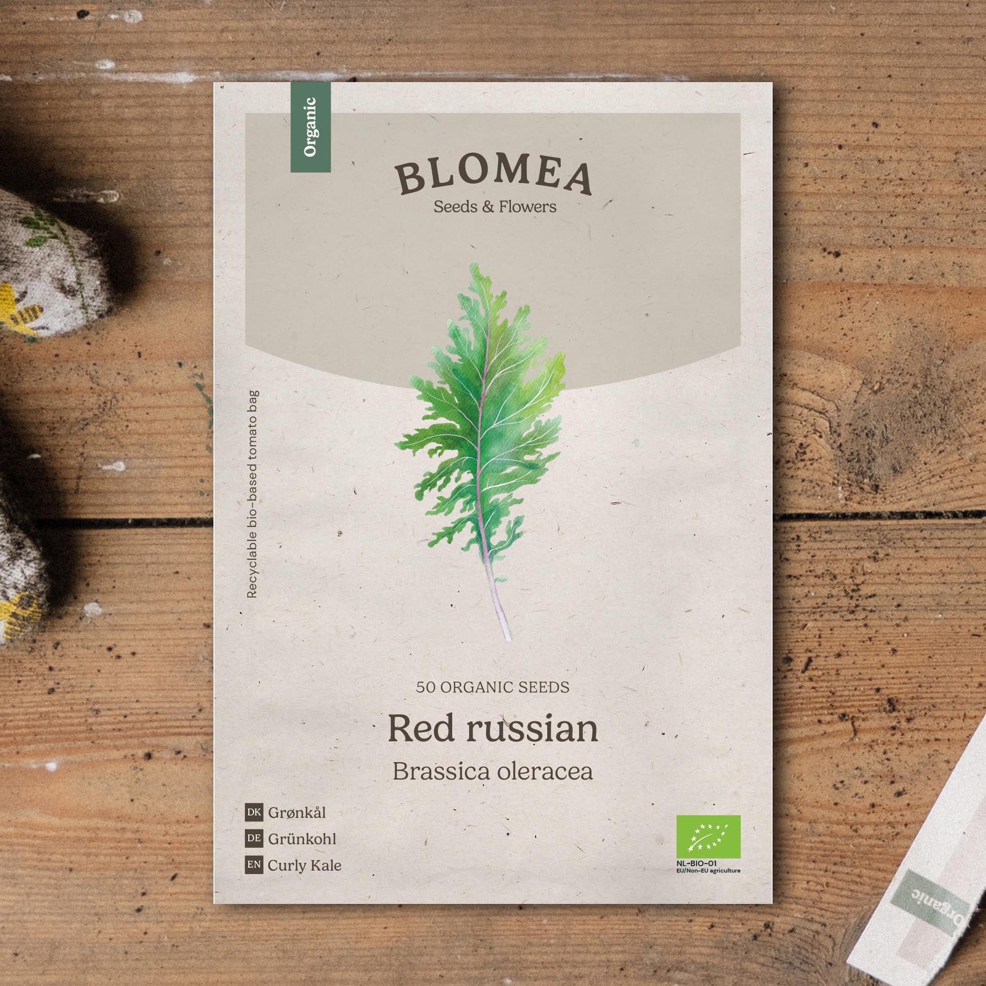 Boerenkoolzaden 'Red Russian' - 50 biologische zaden