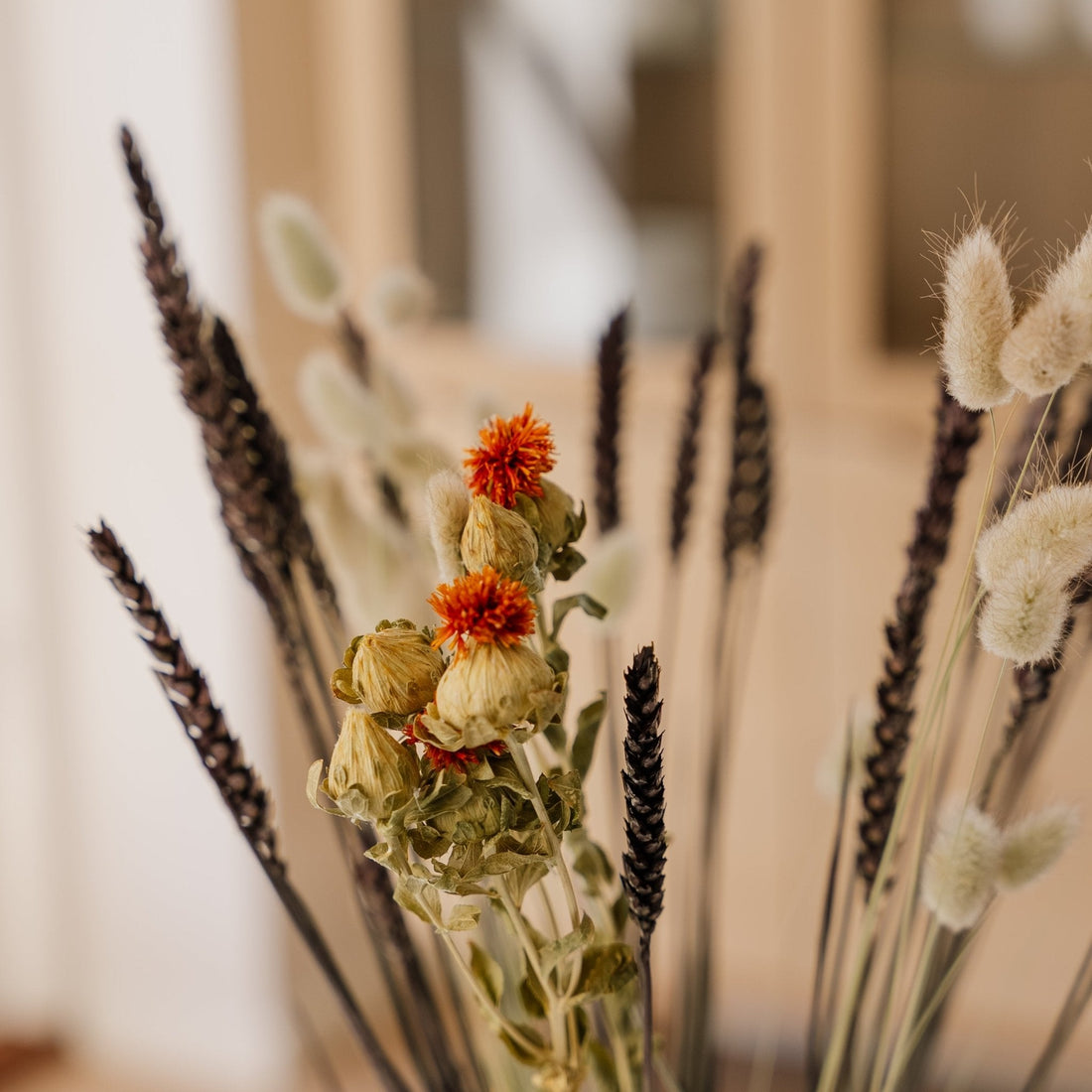 Eeuwigheidsboeket, Goudsbloem, H: 55 cm