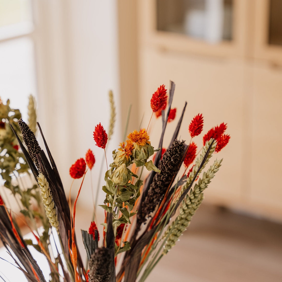 Eeuwigheidsboeket, Savanne, H: 50 cm