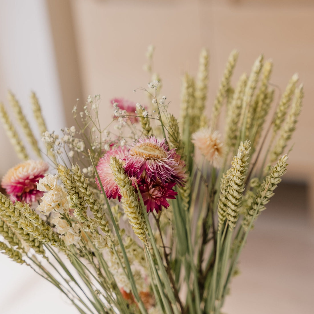 Eeuwigheidsboeket, Wildernis, H: 50 cm