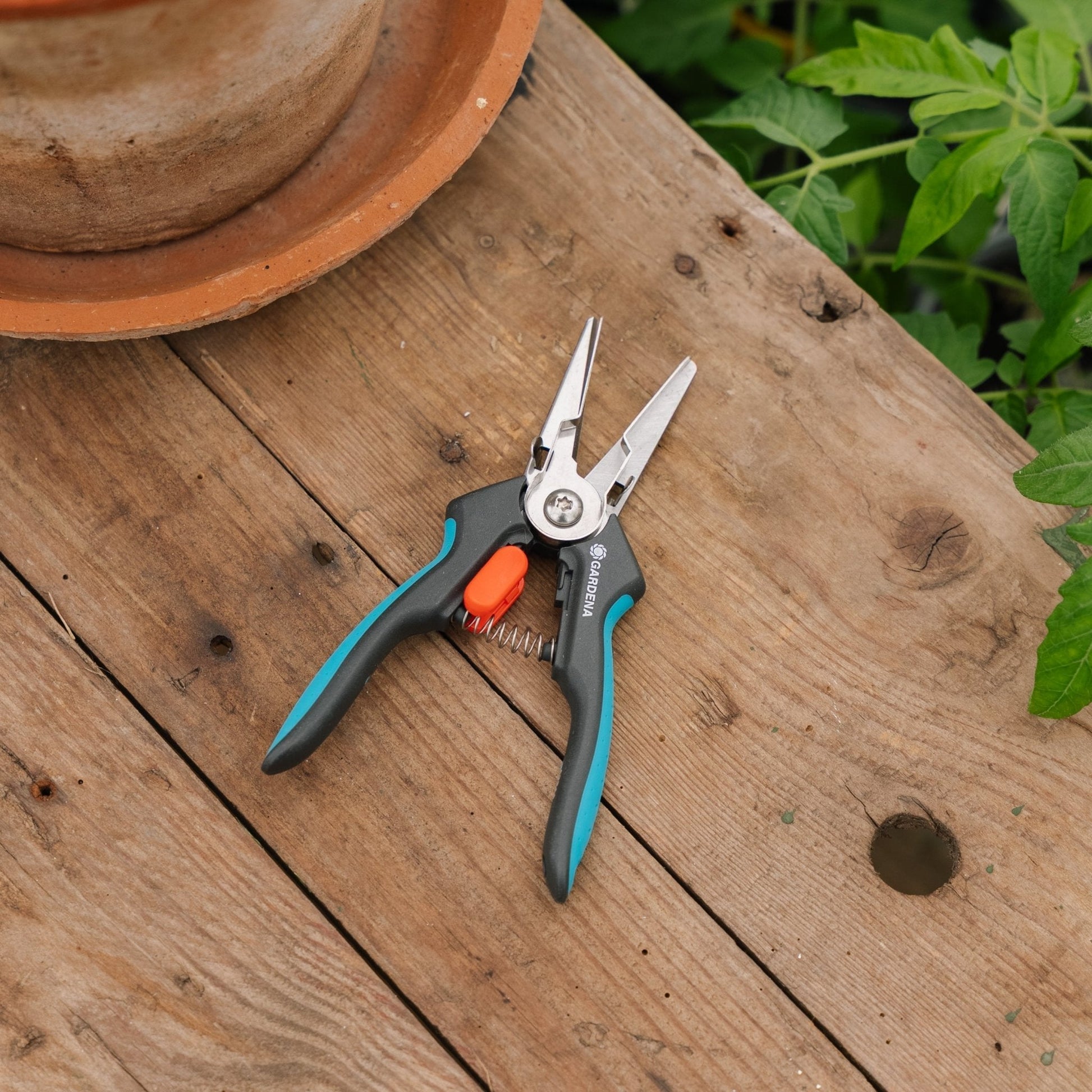 GripCut kruidenschaar met grijpfunctie