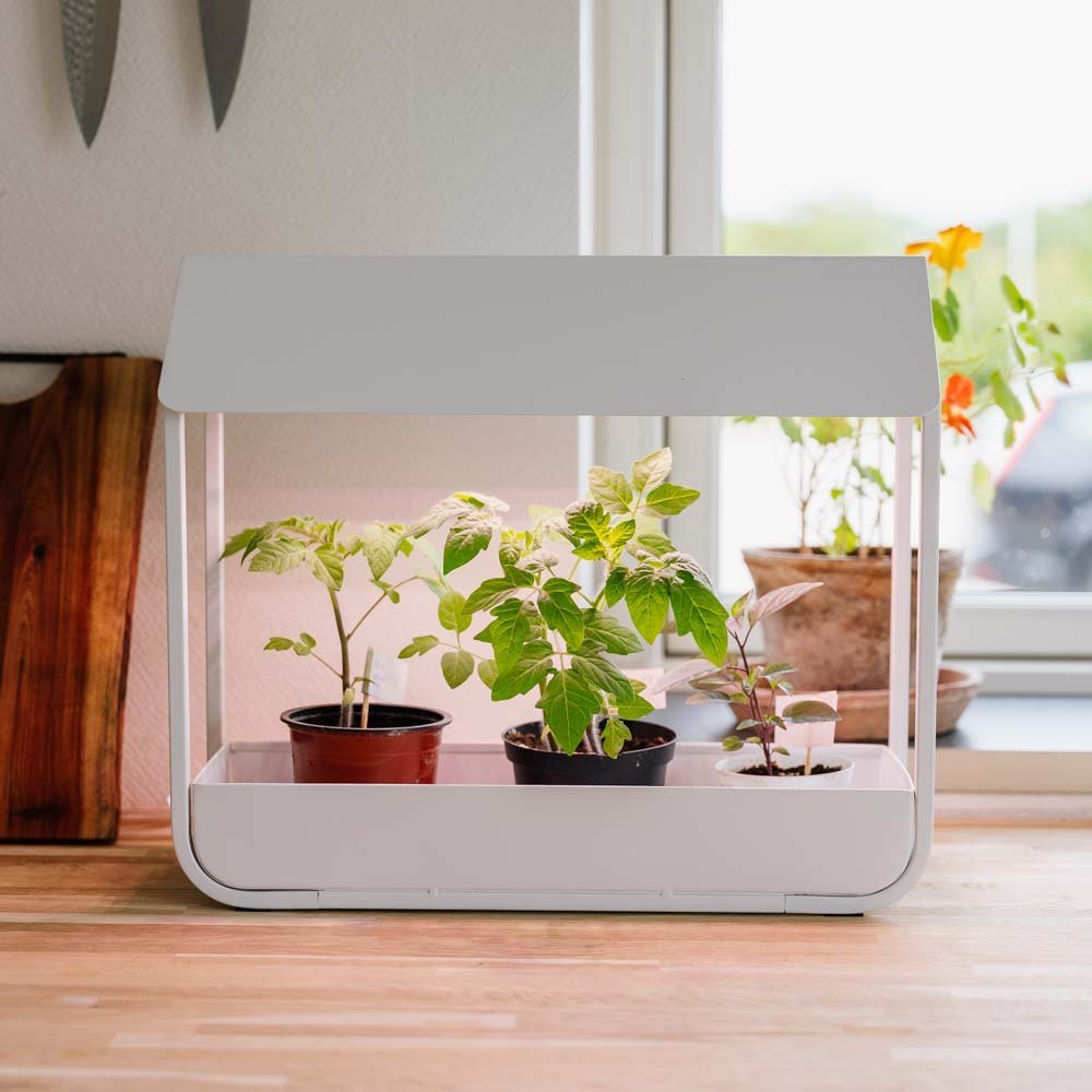 Groeilicht, wit, L: 17,5 cm B: 42,4 cm H: 36,5 cm