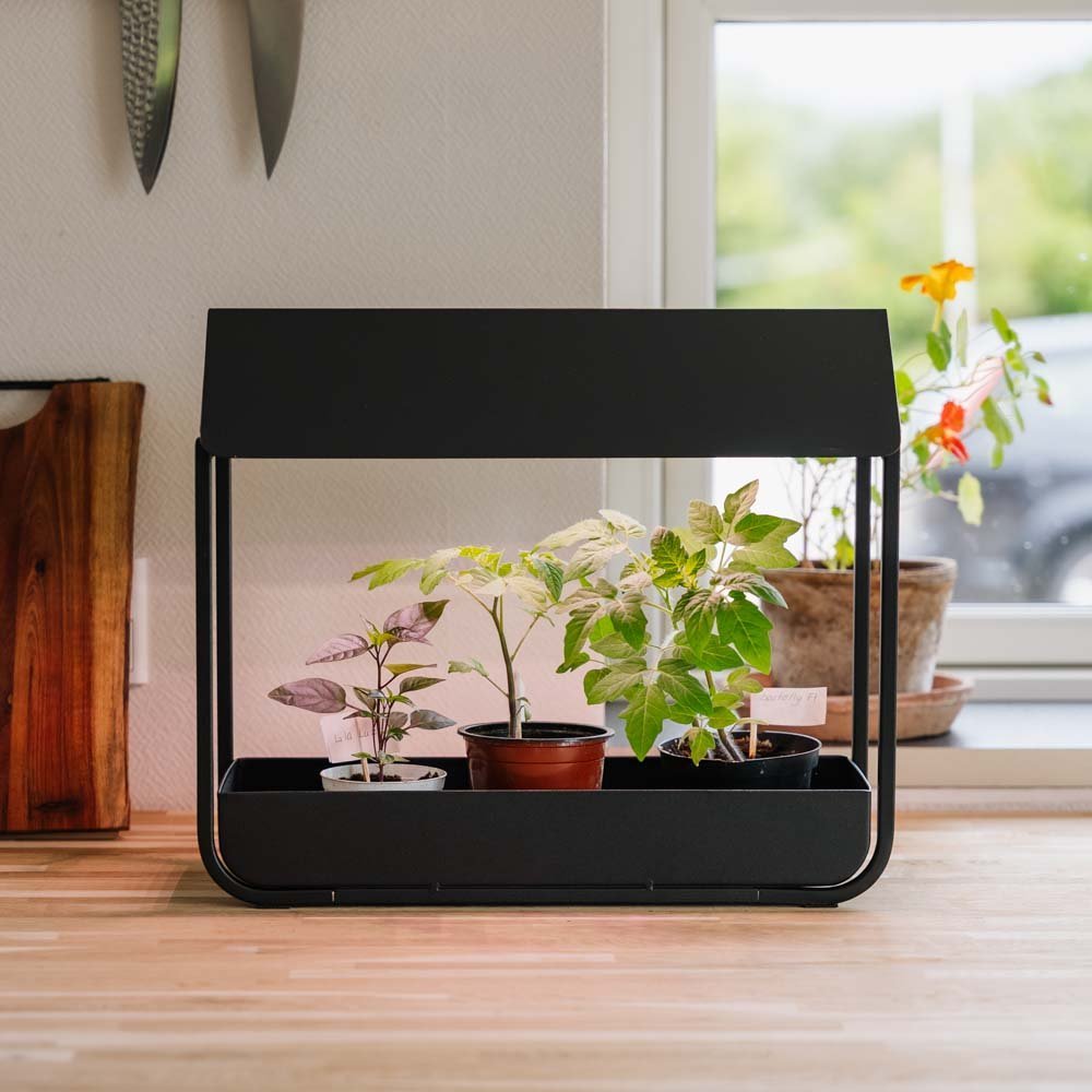 Groeilicht, zwart, L: 17,5 cm B: 42,4 cm H: 36,5 cm