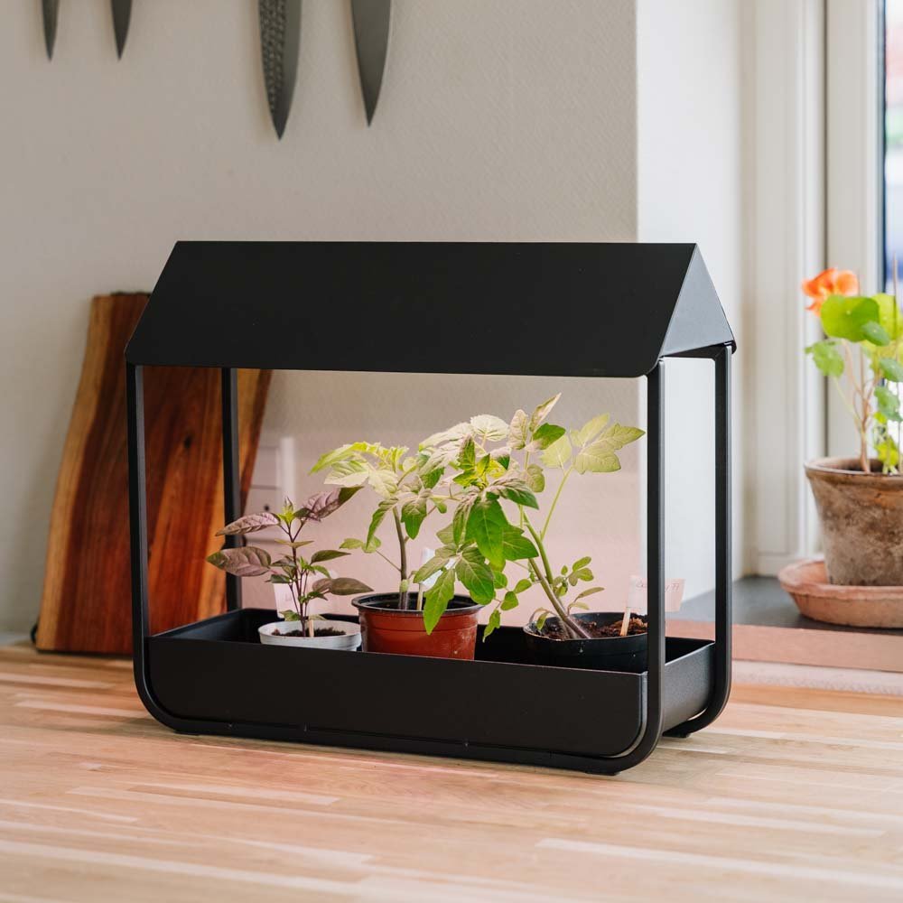 Groeilicht, zwart, L: 17,5 cm B: 42,4 cm H: 36,5 cm