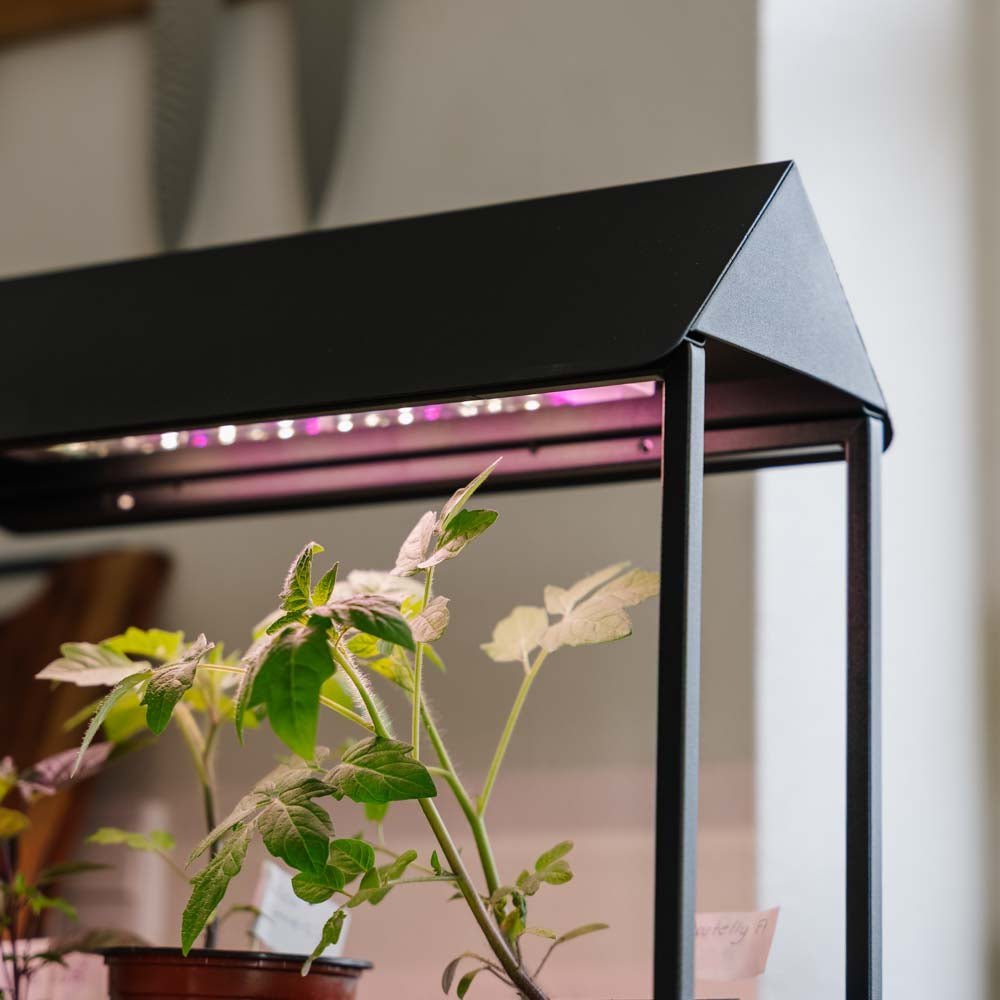 Groeilicht, zwart, L: 17,5 cm B: 42,4 cm H: 36,5 cm