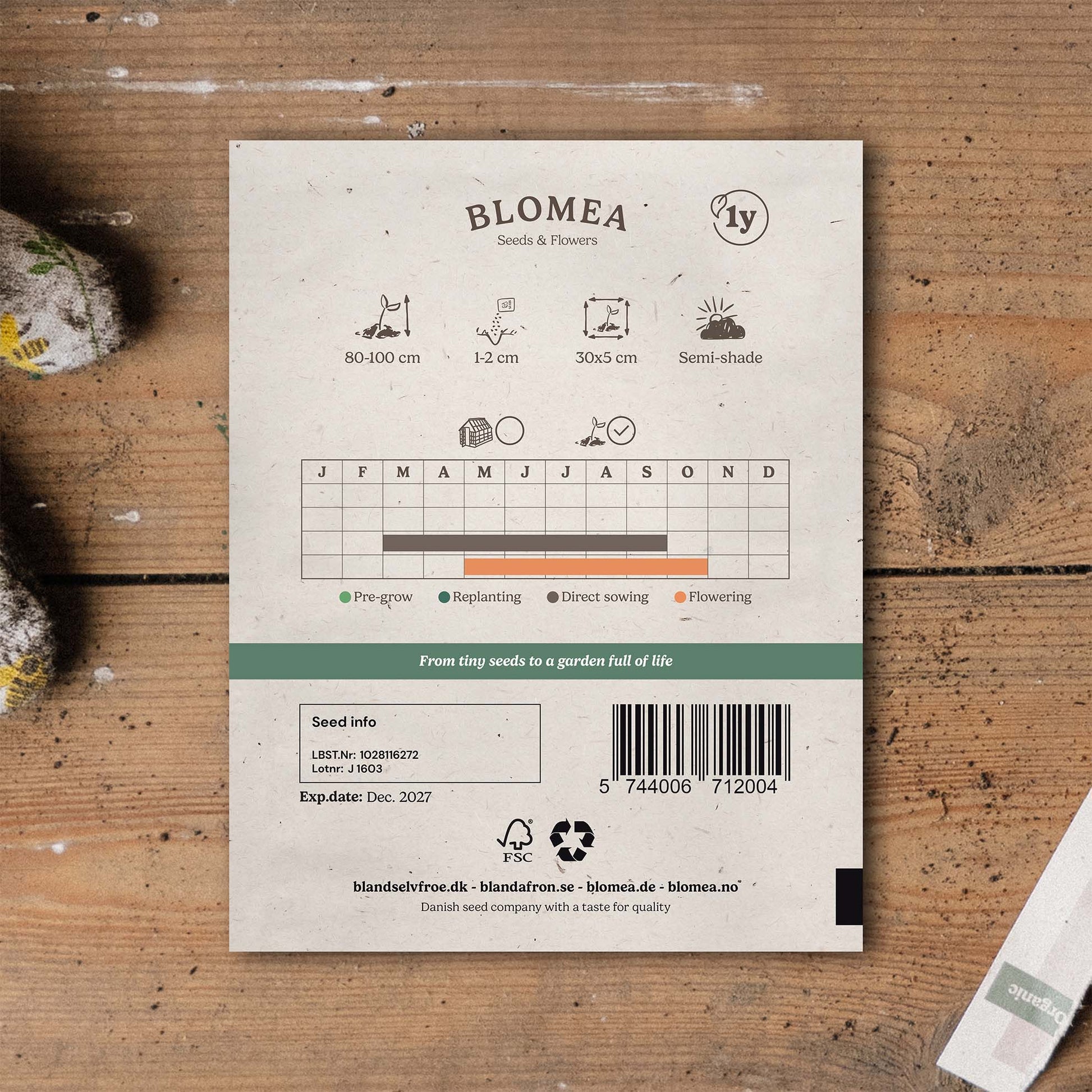 Groenbemesterzaden 'White Mustard' (20 m²)