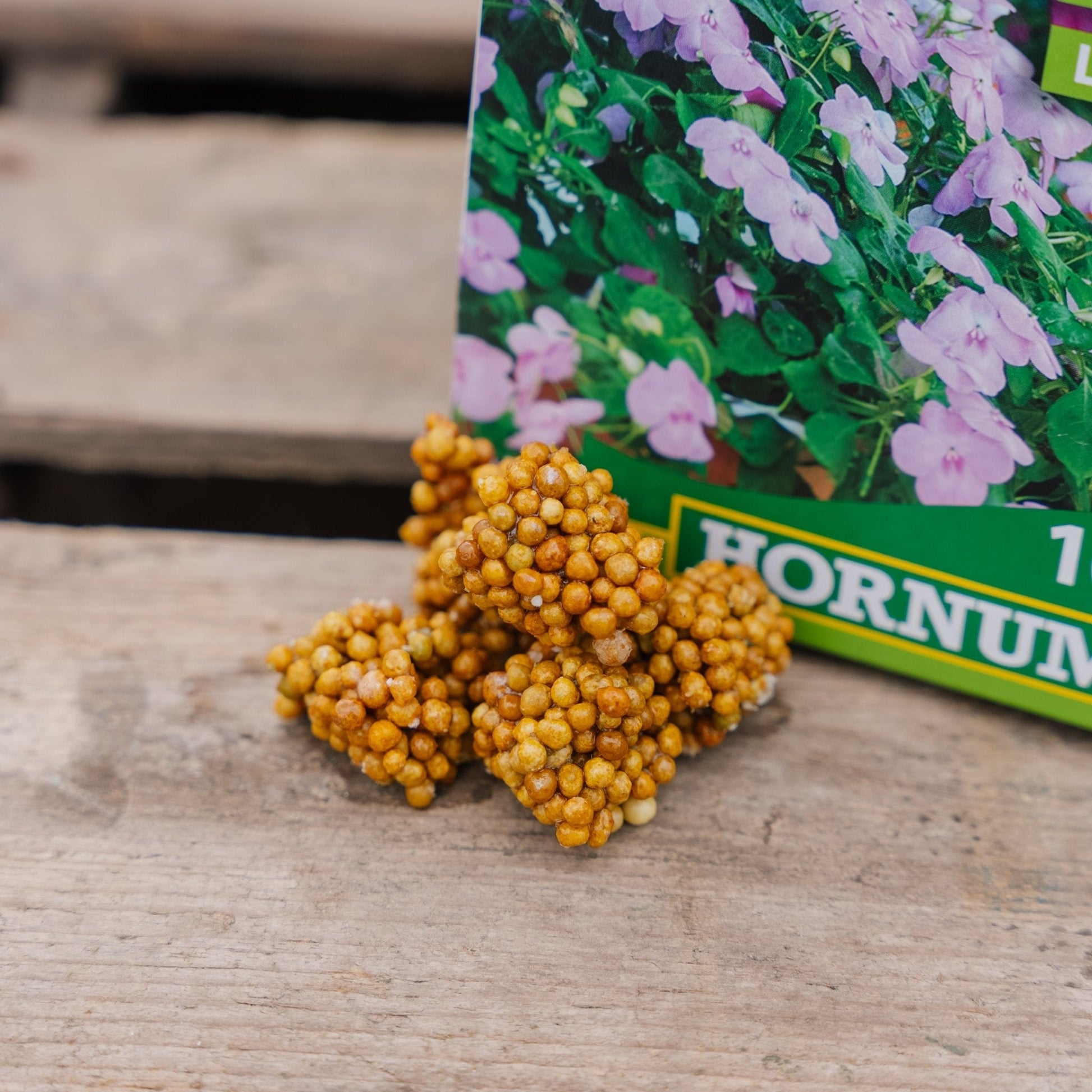 Growtabs, 15/4/12, 10 st.