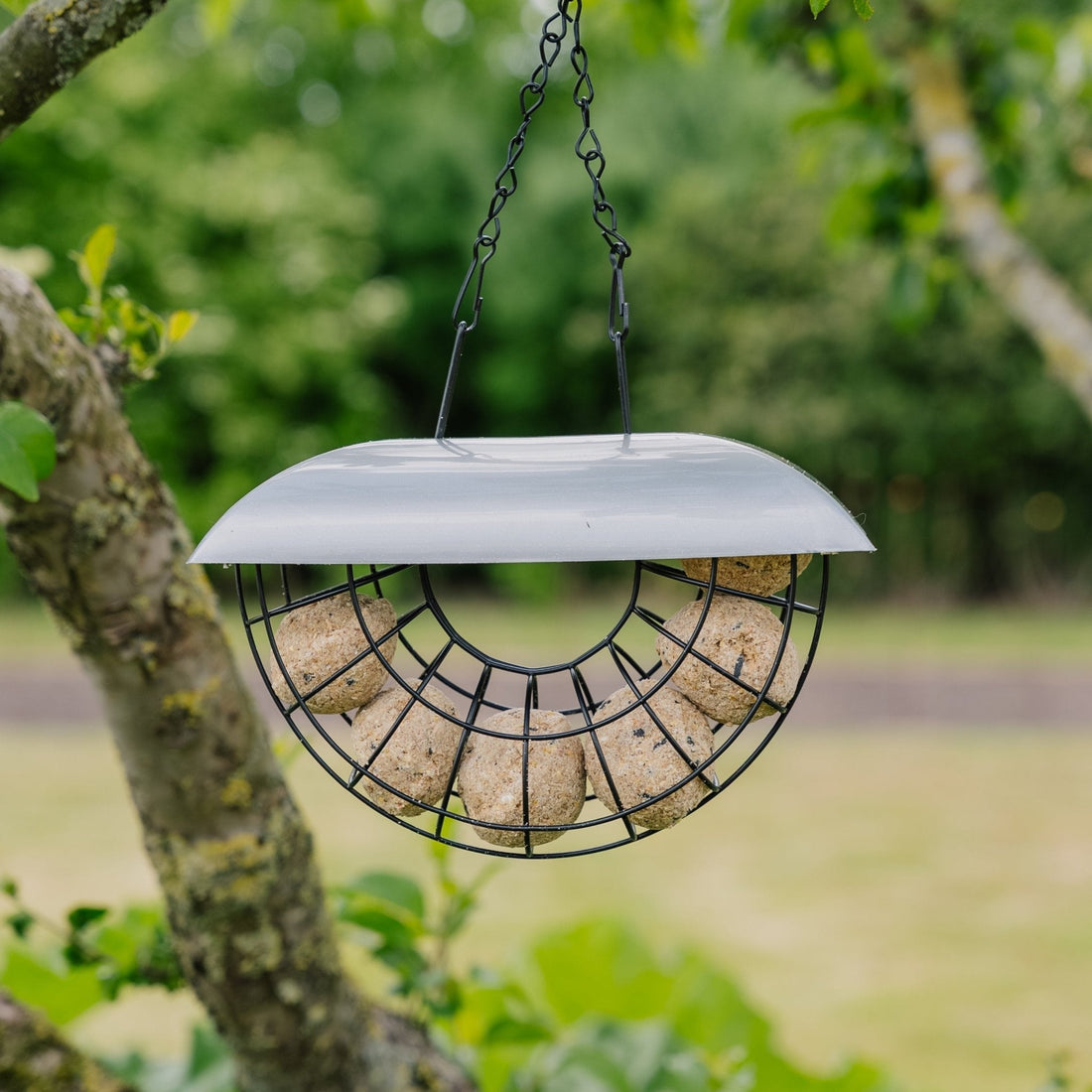 Halve maan mezenbolletjesautomaat, incl. 6 mezenbolletjes