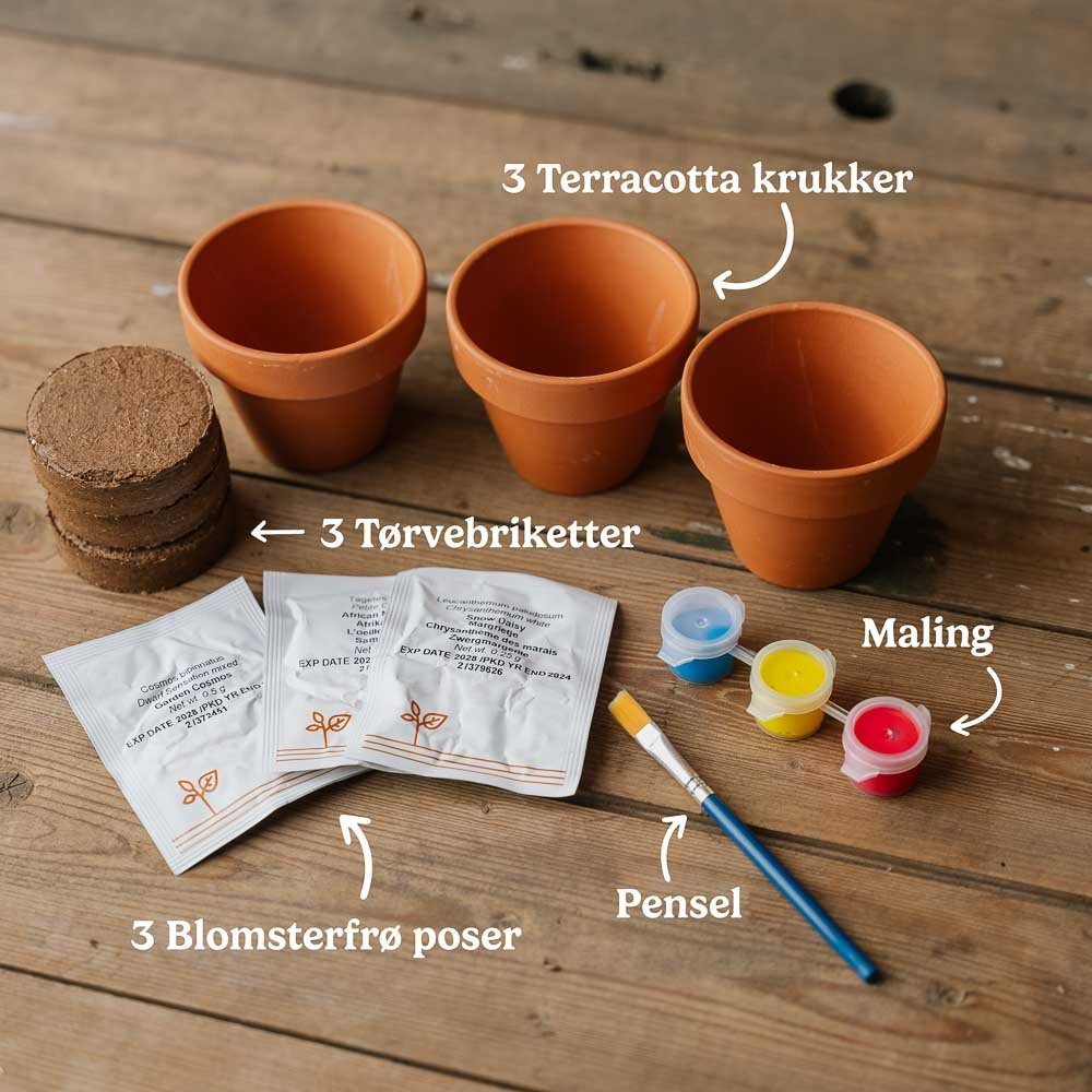 Het creatieve bloemenpakket