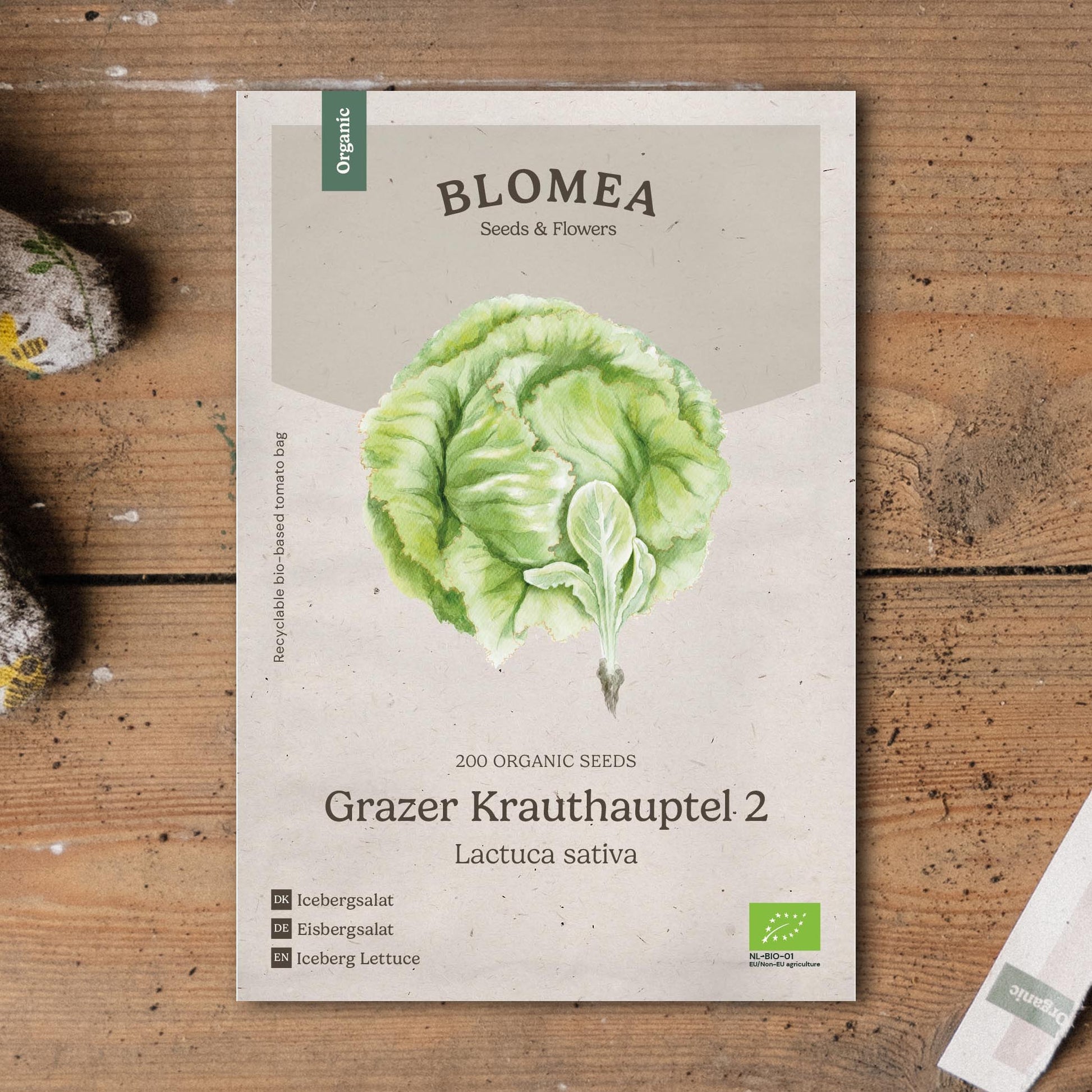 IJsbergsla zaden 'Grazer Krauthauptel 2' - 200 biologische zaden