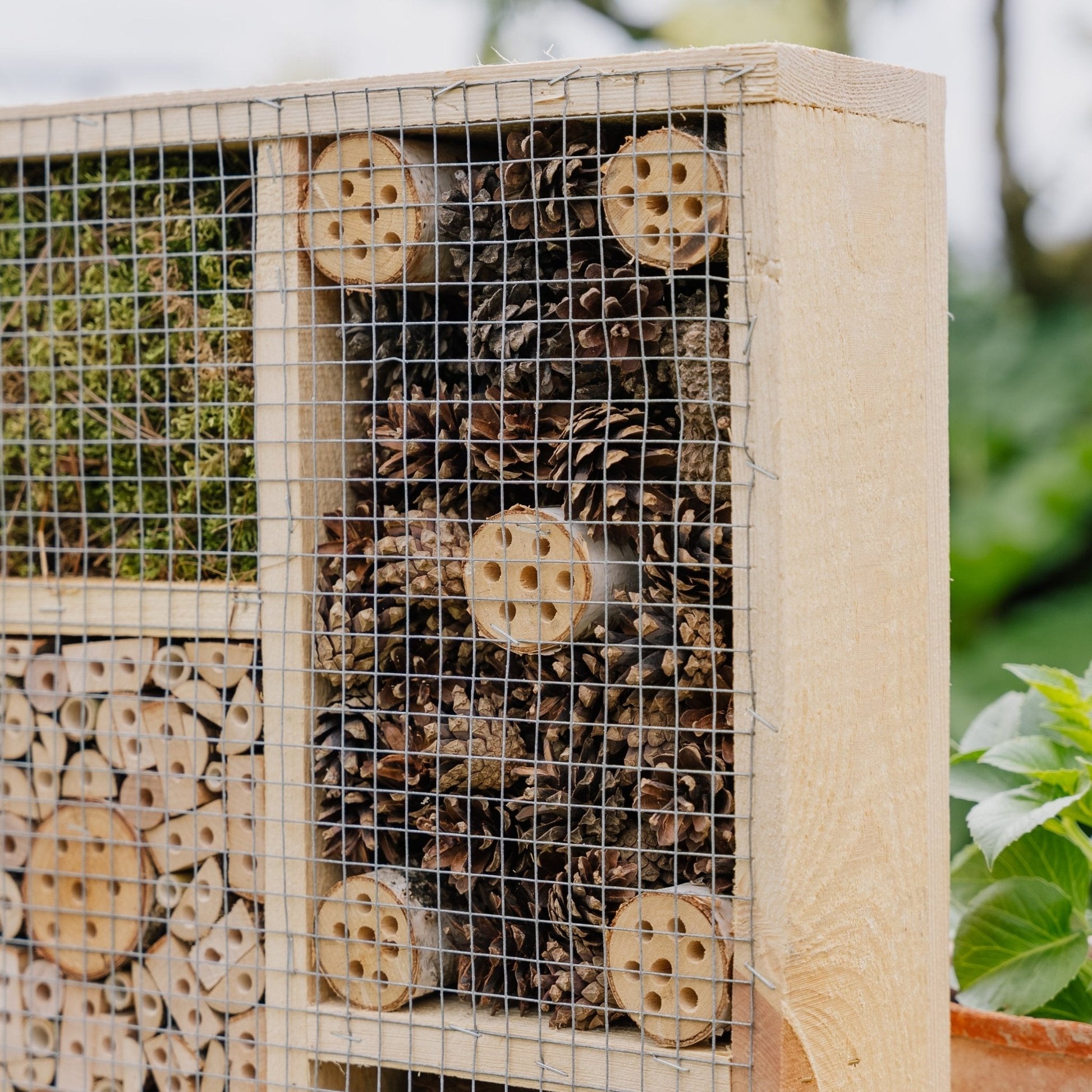 Insectenhotel, groot, L: 12 cm B: 50 cm H: 38 cm