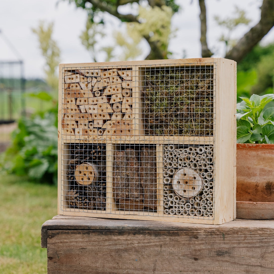 Insectenhotel, natuur, L: 12 cm B: 38 cm H: 43 cm