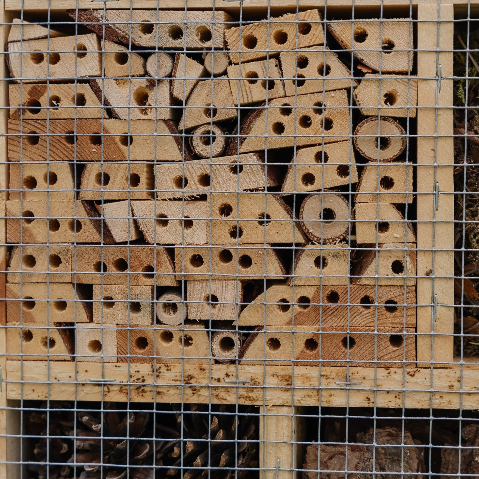 Insectenhotel, natuur, L: 12 cm B: 38 cm H: 43 cm