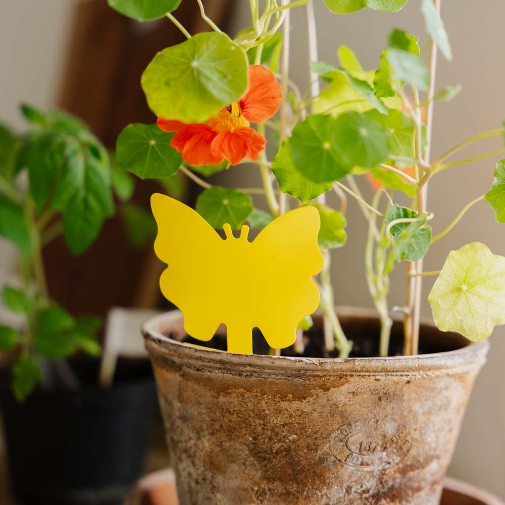 InsektFri Vangplaten met motief, 10 stuks.