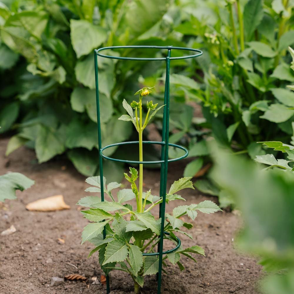 Kegelvormige plantensteun, L: 18 cm B: 18 cm H: 48 cm