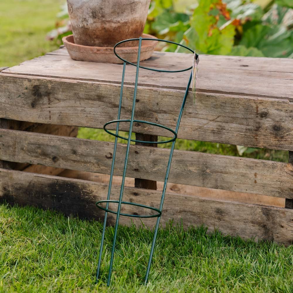 Kegelvormige plantensteun, L: 18 cm B: 18 cm H: 48 cm