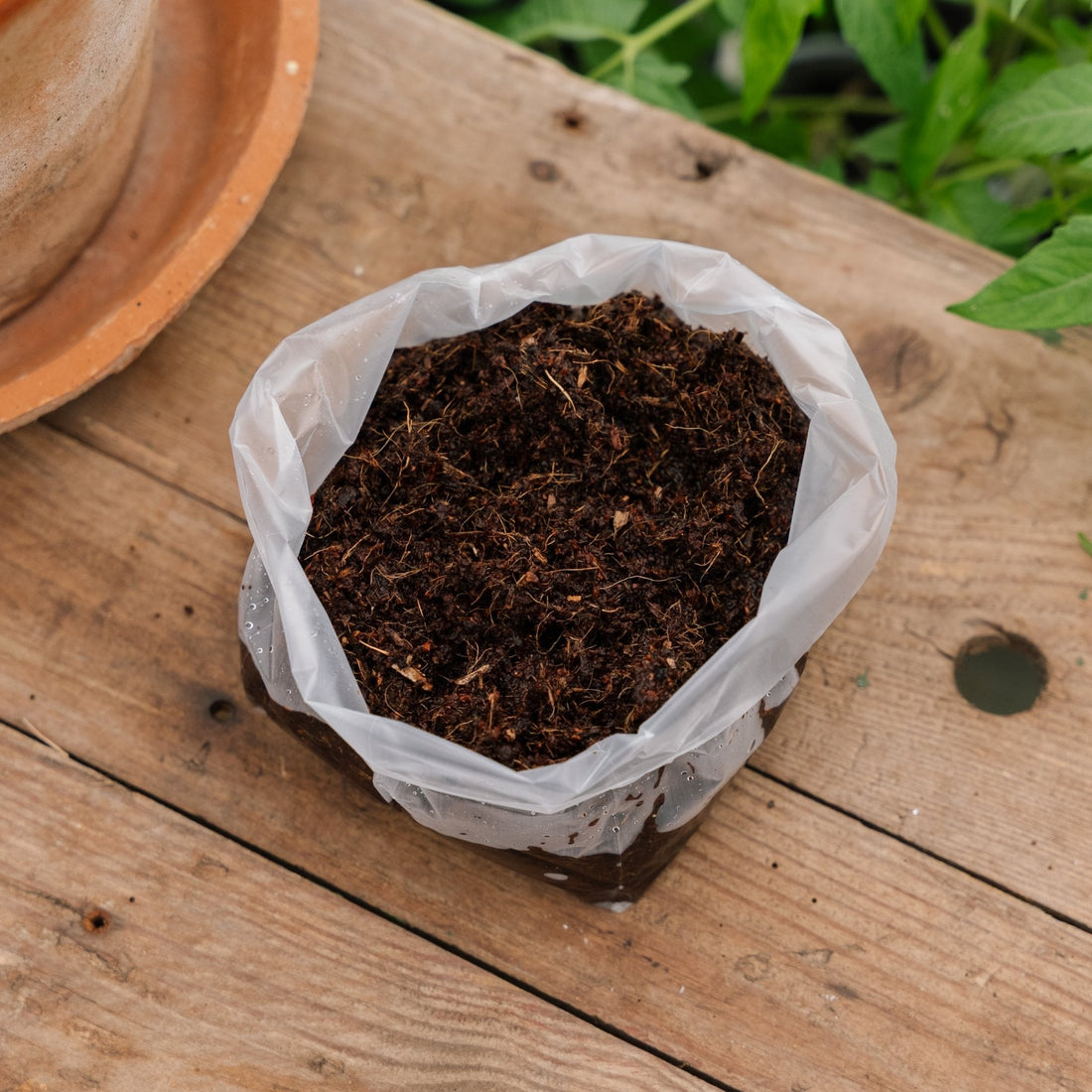 Kokosmulch 1 liter, 10x10 cm