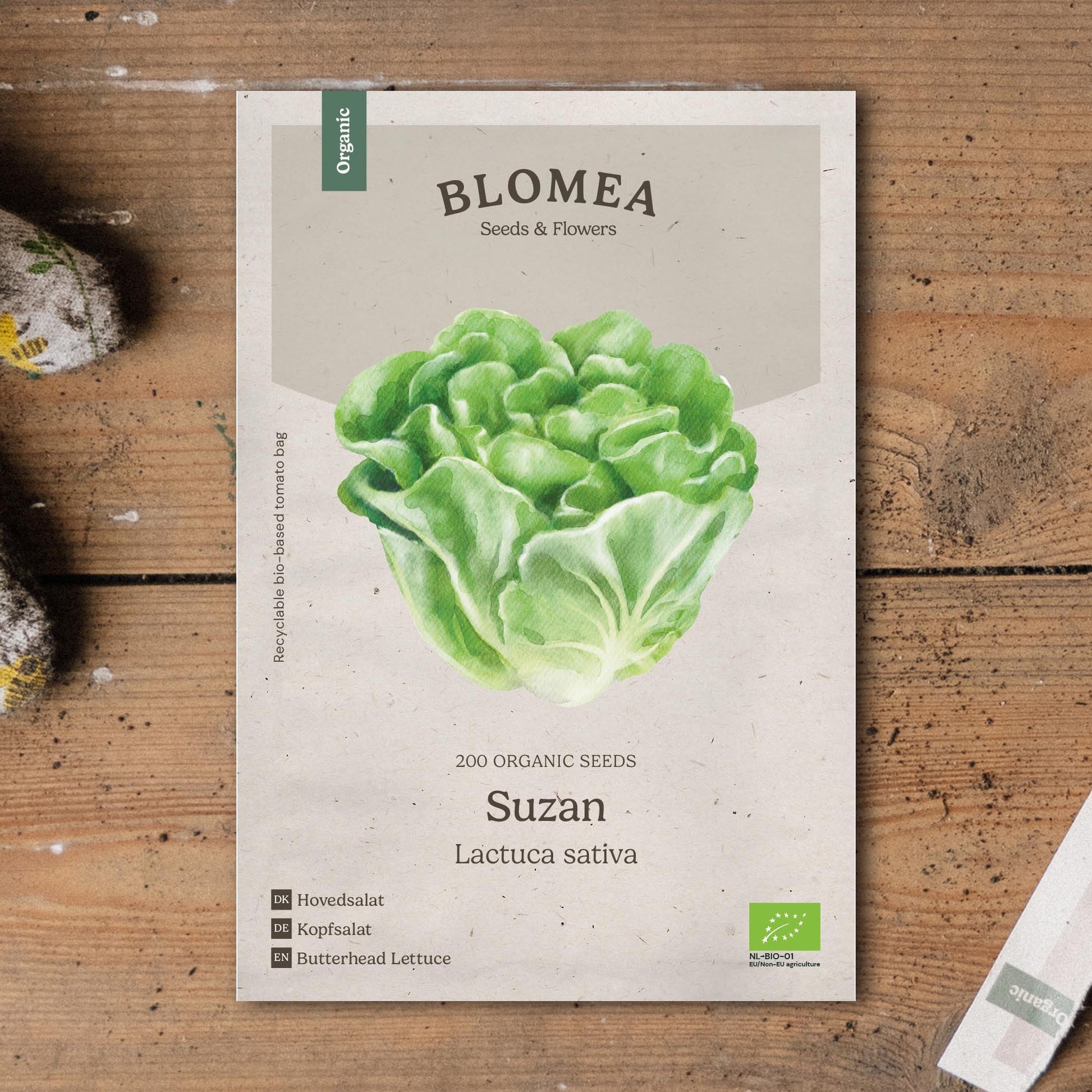 Kropsla zaden 'Suzan' - 200 biologische zaden