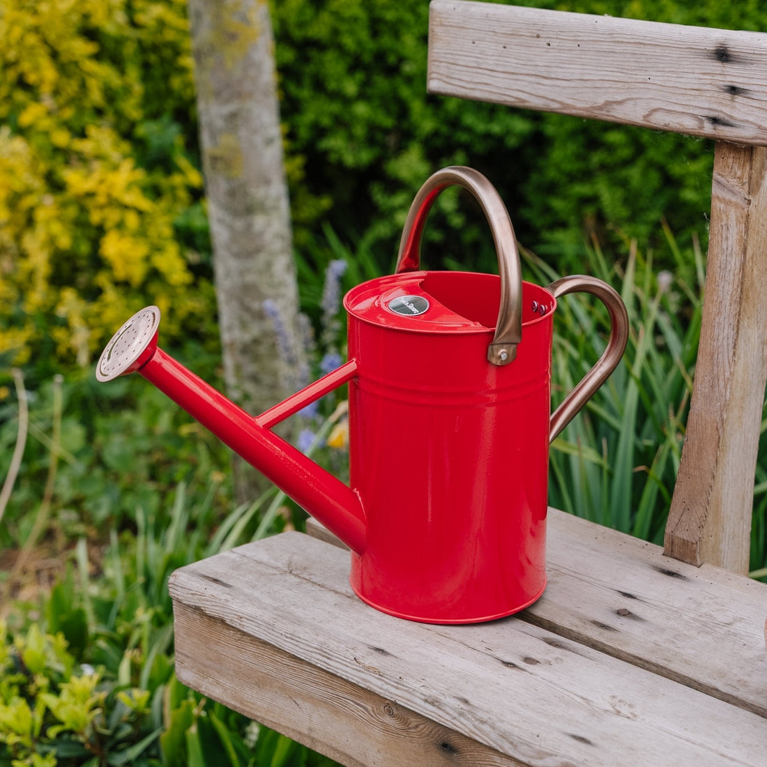 Metalen waterkan, 4,5 L, scharlakenrood