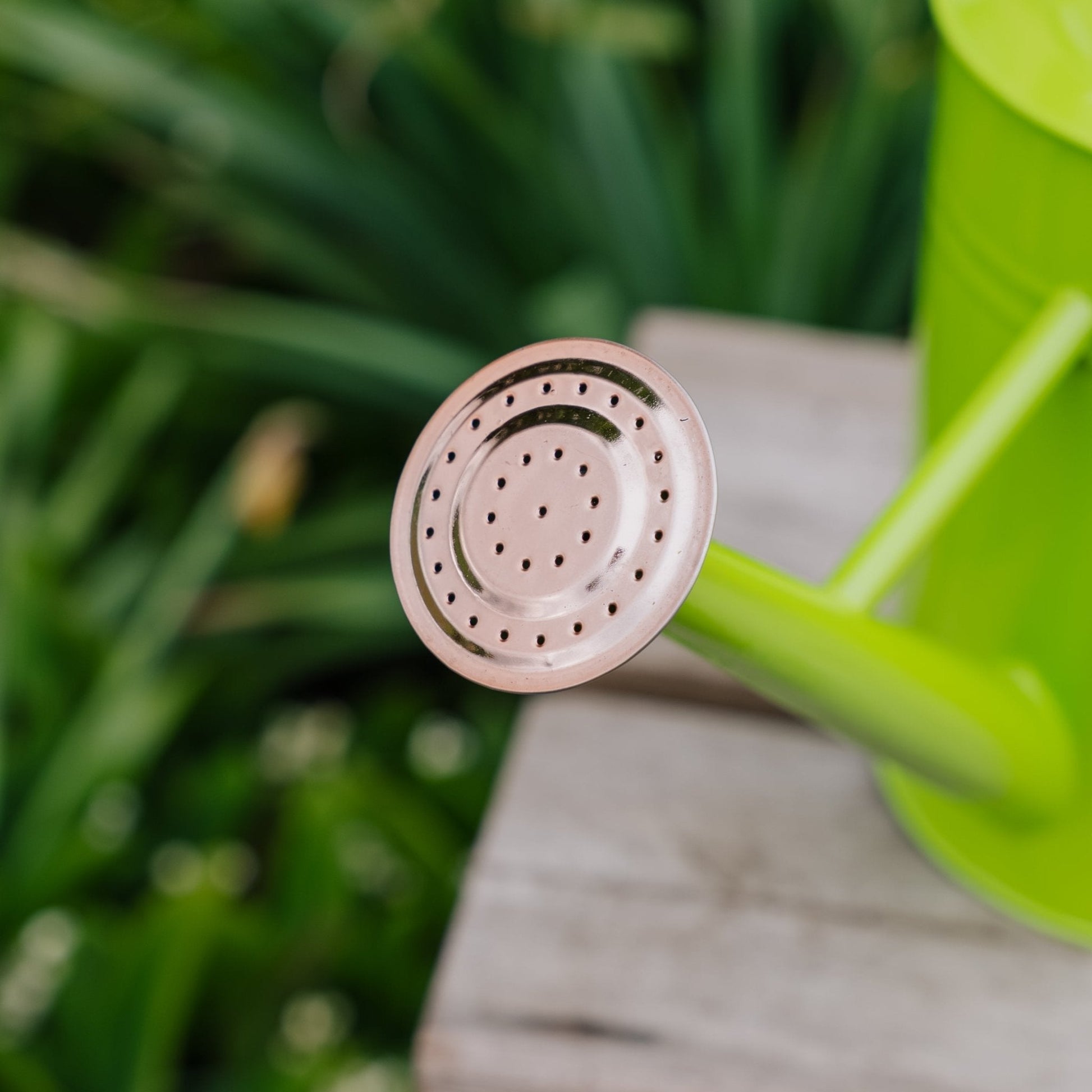 Metalwaterkan, 4,5 L, fris groen