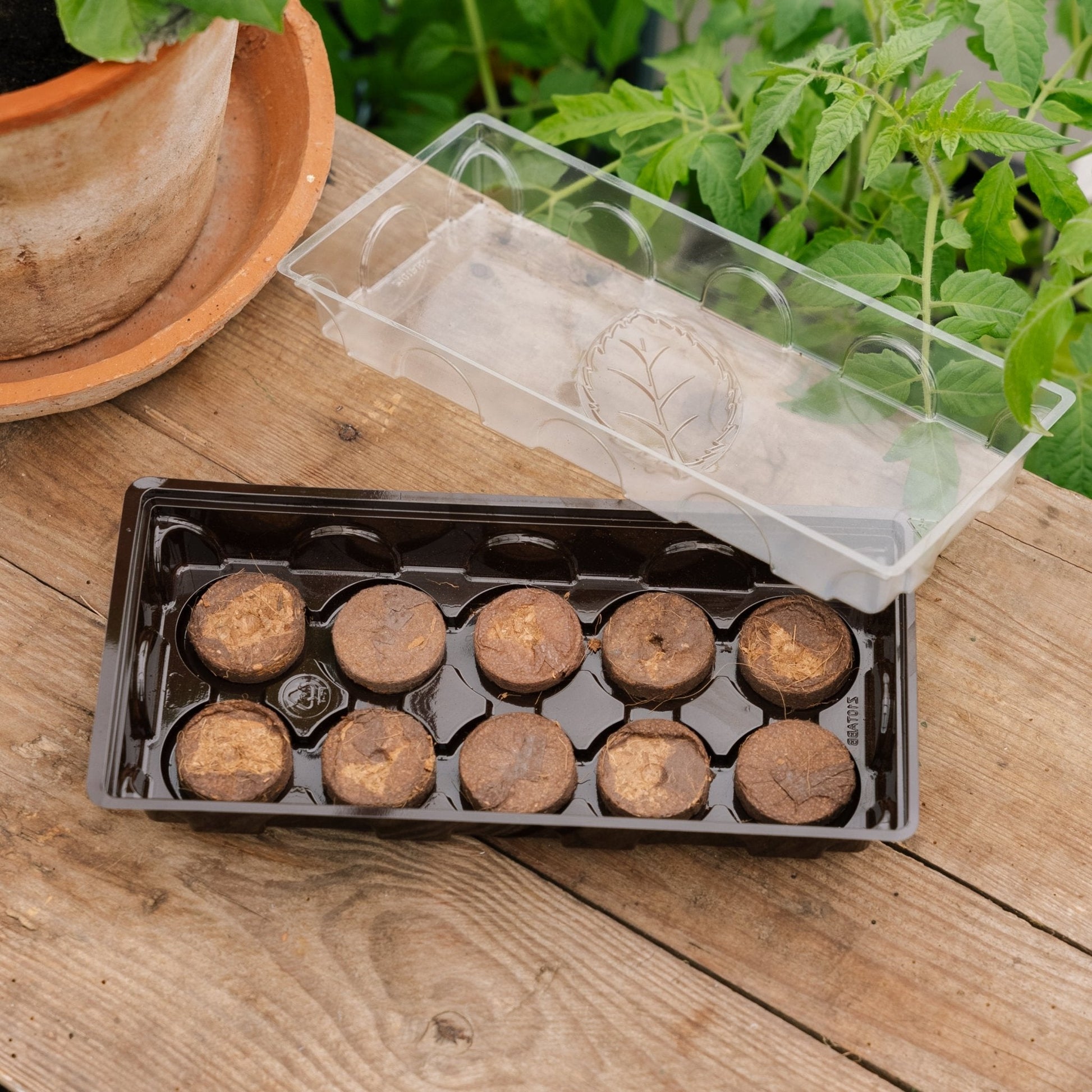 Minikasje met 10 kokosbriketten