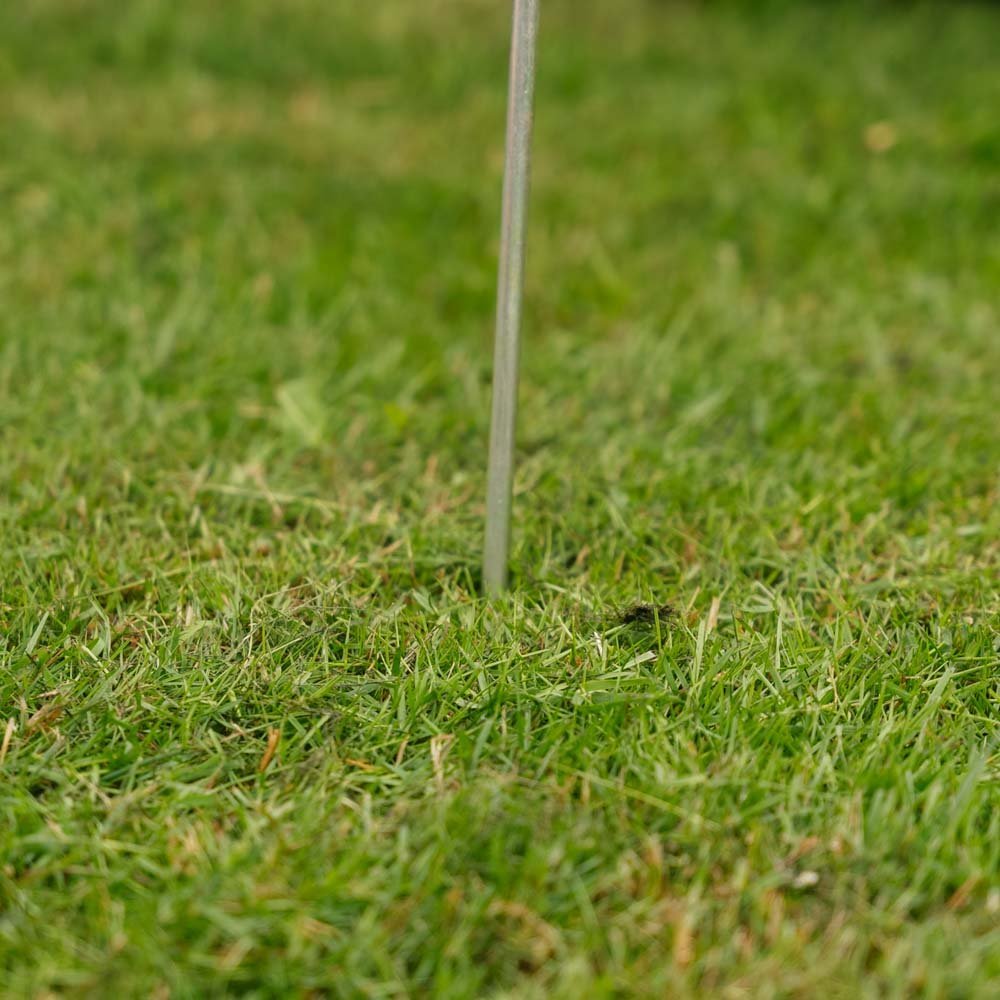 MollenVrij Looppadvinder 1 st.