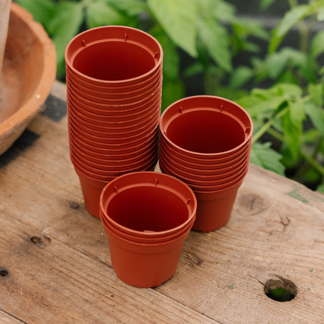 Plantenpotten 6 cm, 30 stuks.