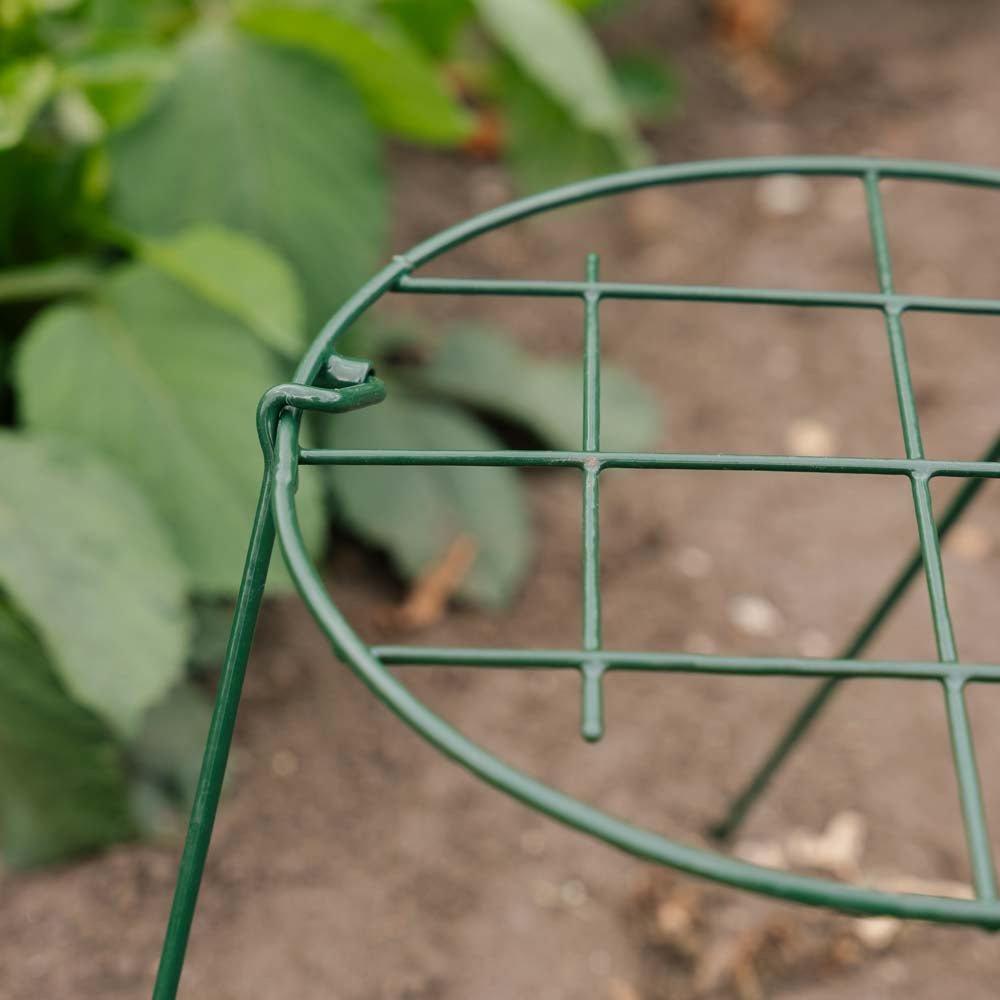 Plantensteun, B: 30 cm H: 45 cm