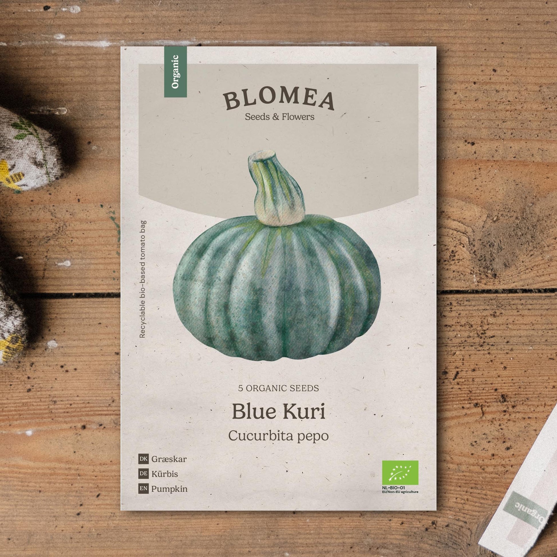 Pompoenzaden 'Blue Kuri' - 5 biologische zaden