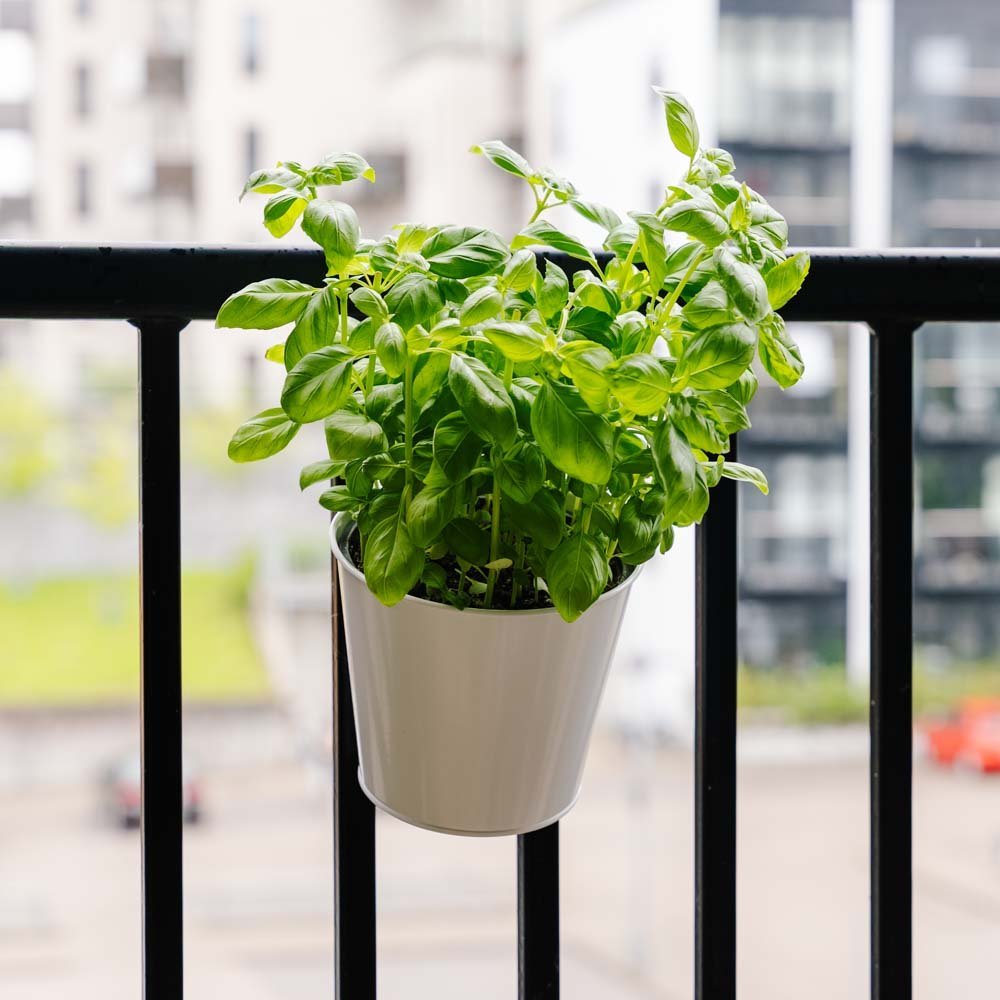 Ronde balkonpot, L: 24,5 cm B: 16,2 cm H: 25,2 cm