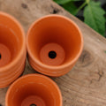 Terracottapot 5/6 cm, 9 stuks.