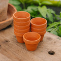 Terracottapot 5/6 cm, 9 stuks.
