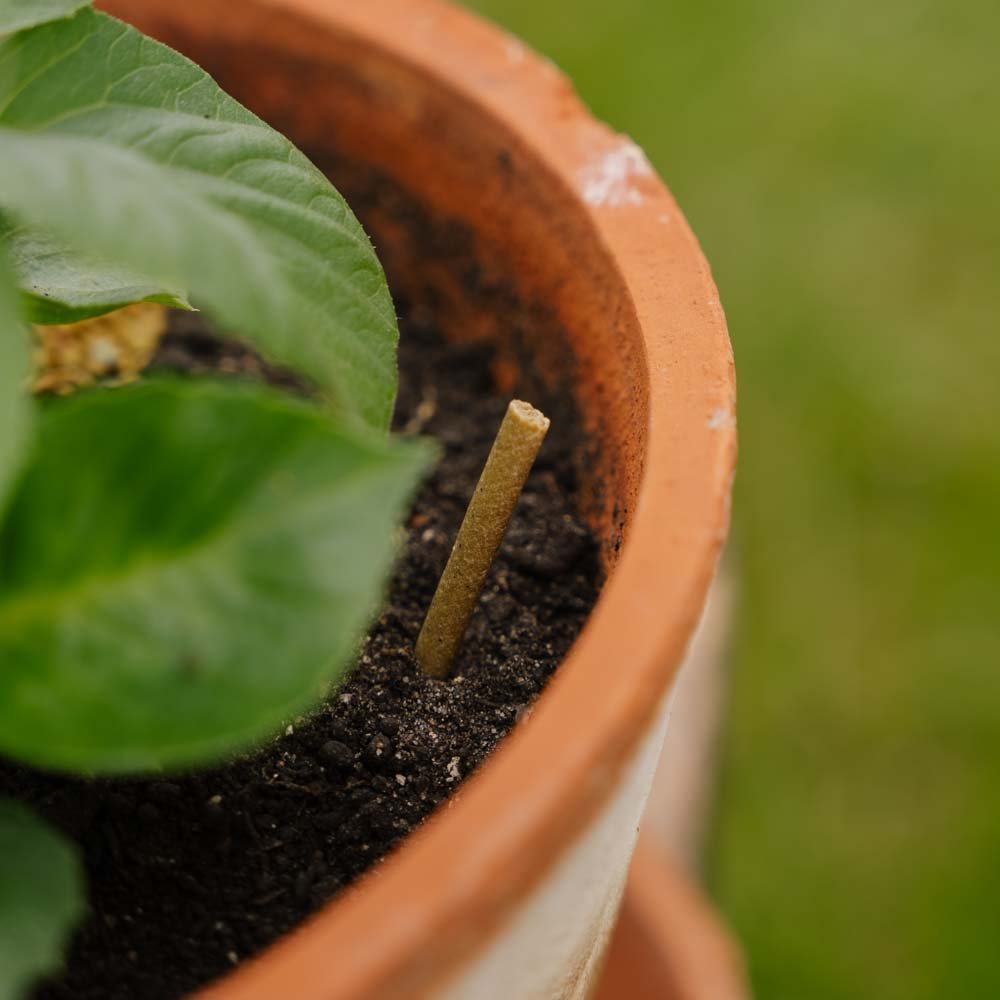 Universele meststofstokken 30 stuks.