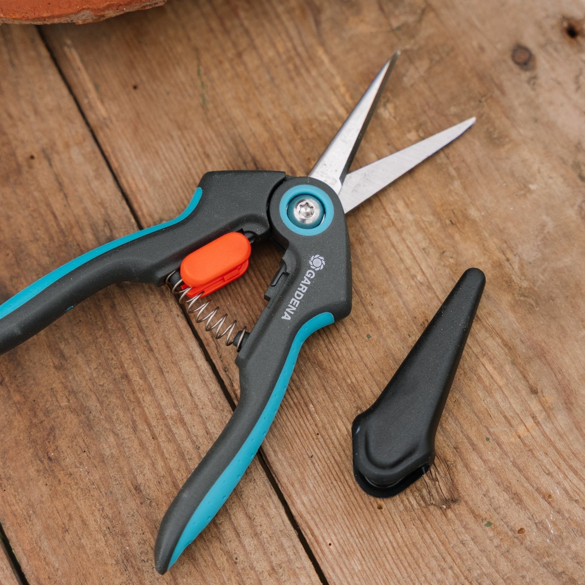 Verse kruiden schaar