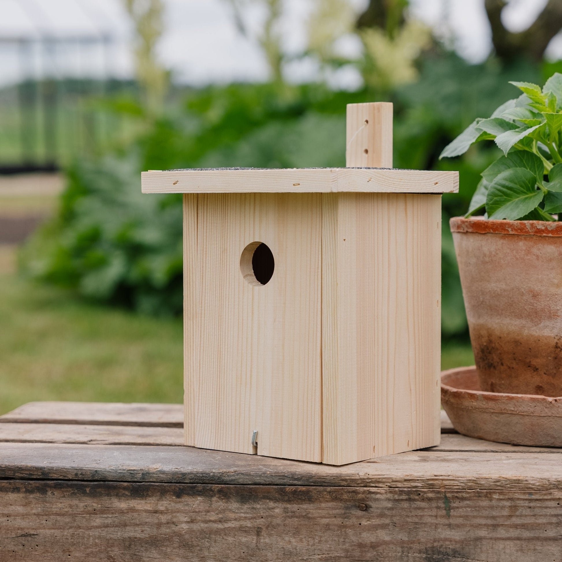 Vogelhuis, natuur, L: 19 cm B: 19 cm H: 22 cm