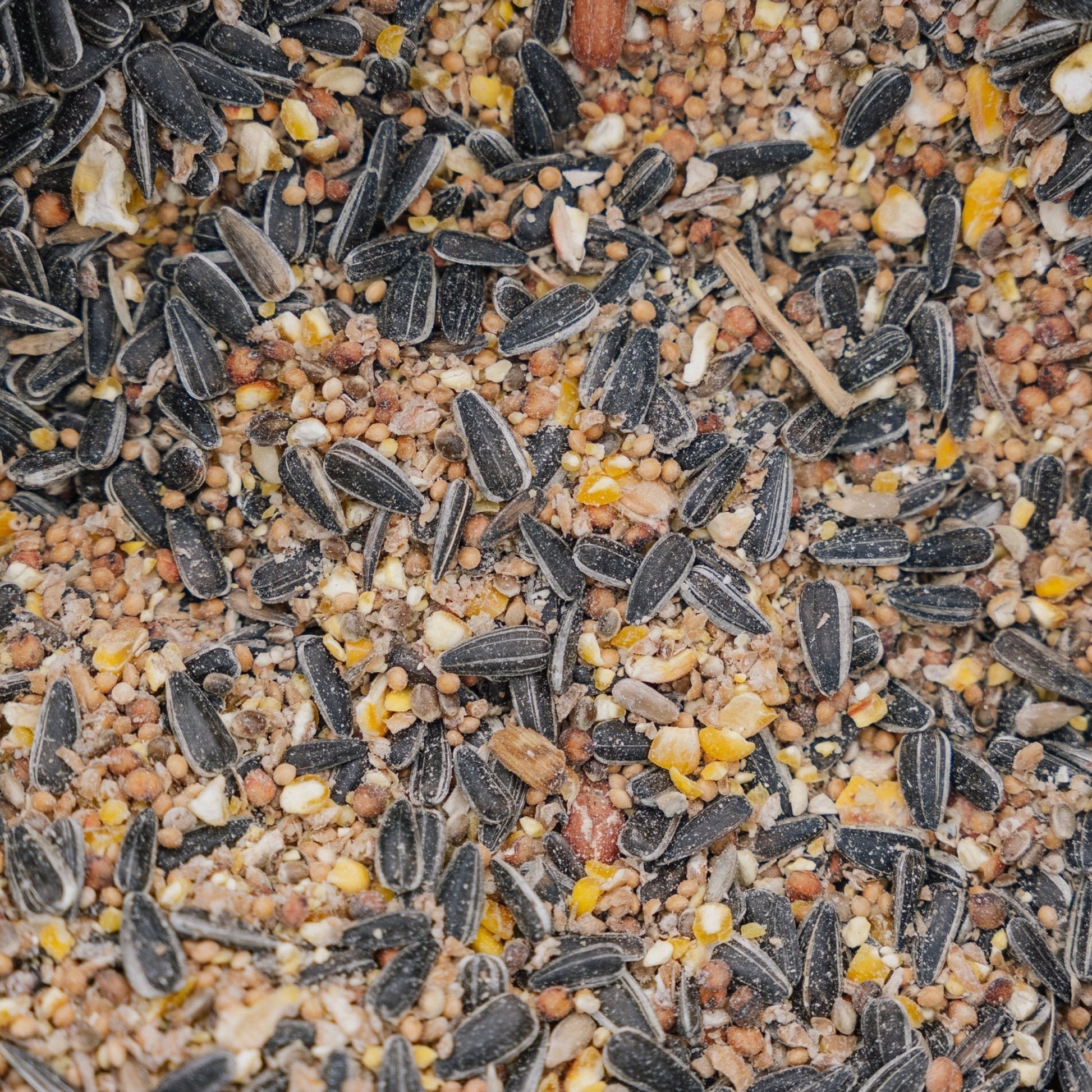 Vogelvoer, All Year de Luxe mix, 5 L