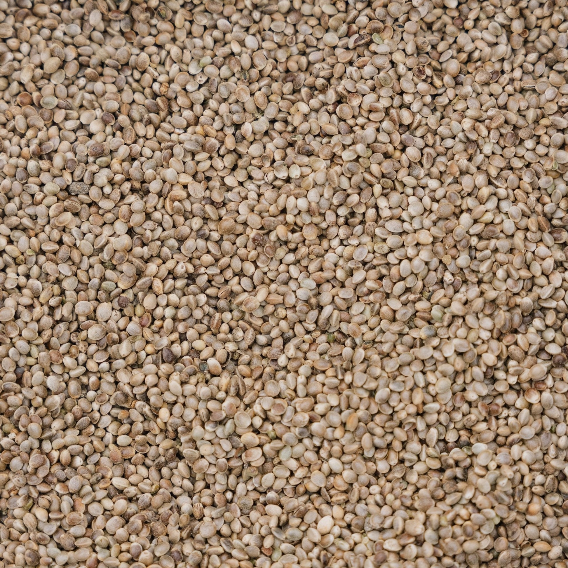 Vogelvoer, Hennep de Luxe, 5 L