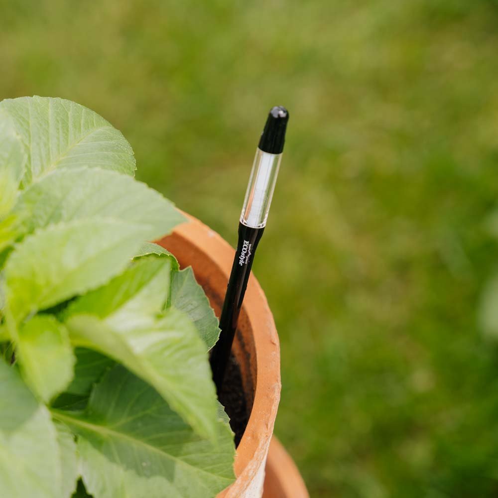 Watermeter voor kamerplanten